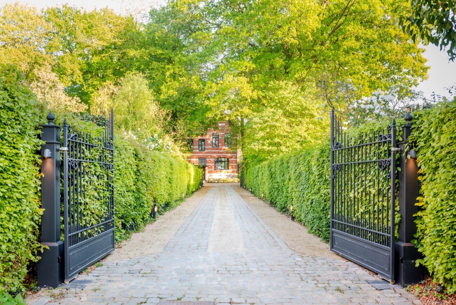 De oprijlaan van Parkhuys in de zomer, door het opengedraaide hek